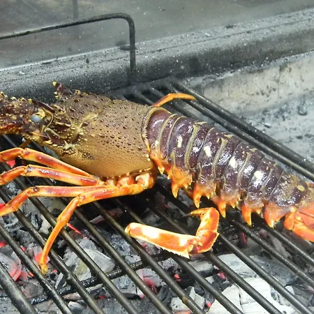 Heritage Pasike 4* טרוגיר